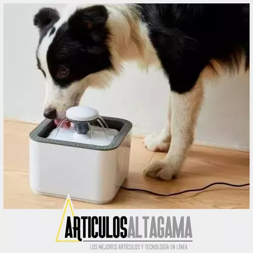 Fuente Inteligente para Gatos – Comodidad y Tecnología para tu Felino
