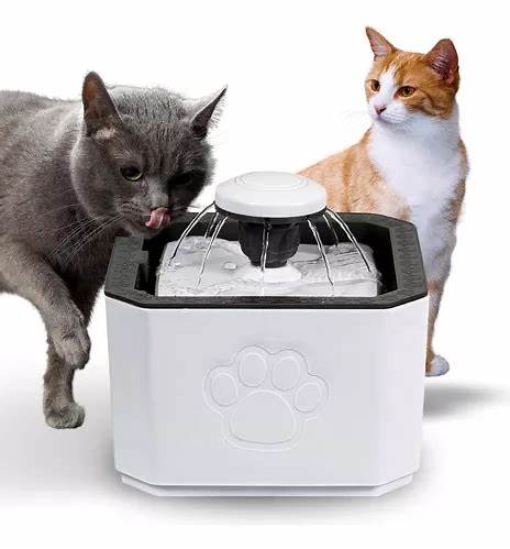 Fuente Inteligente para Gatos – Comodidad y Tecnología para tu Felino